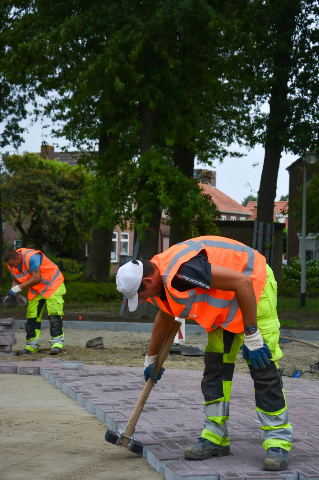 Project in het kort